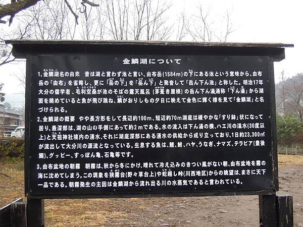 DSCN9749.JPG