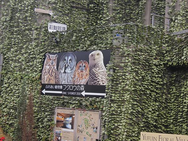 DSCN9770.JPG
