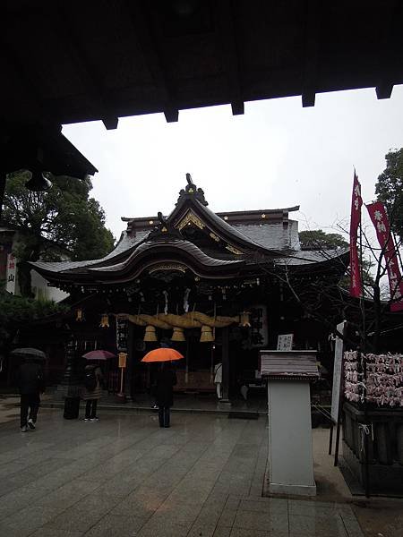 DSCN9854.JPG