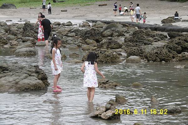 P1000485.JPG