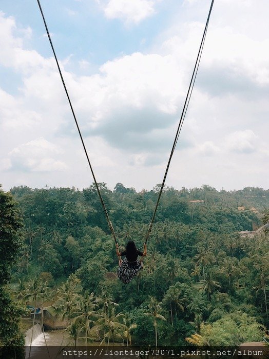 20190101 2 BALI SWING 09.jpg