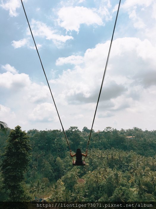 20190101 2 BALI SWING 12.jpg