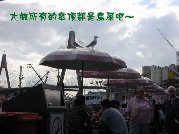 IMG_2675.JPG