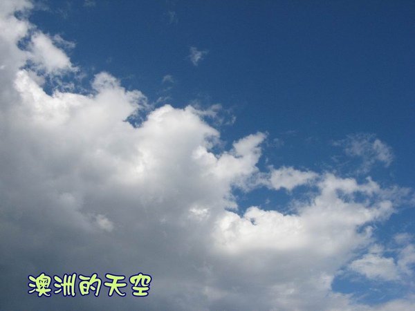 IMG_2853.JPG