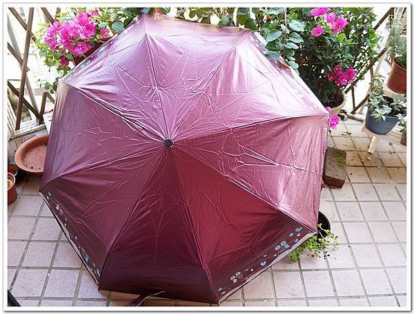 umbrella10.jpg