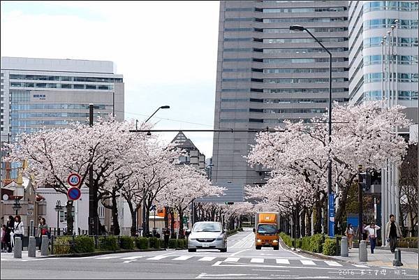 Yokohama02.jpg