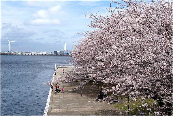 Yokohama03.jpg