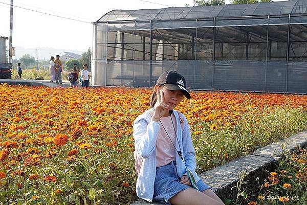 flower14.jpg