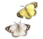 4ev33zuw.gif