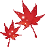 36_haroow89032.gif