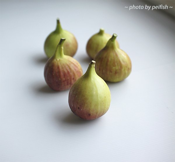 新鮮無花果-1.jpg