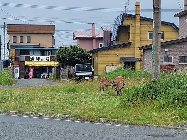 六天五夜北海道露營車初體驗-(Part2 行程分享)