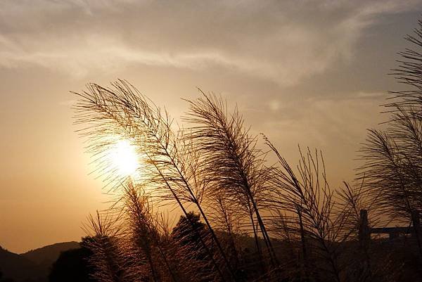 P1100535.JPG
