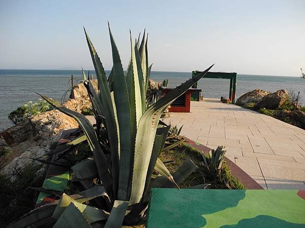 DSCN4328.JPG