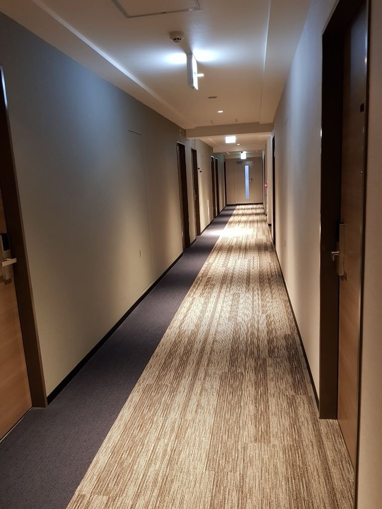 20180529_192446.jpg