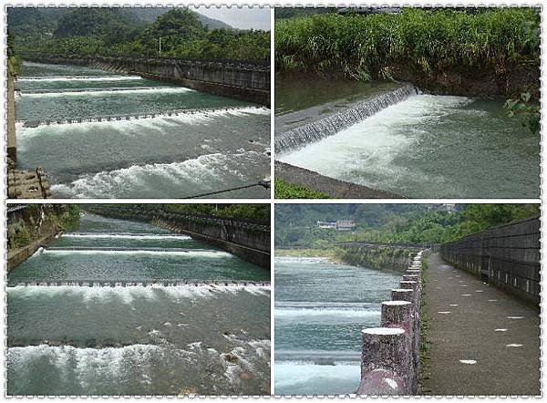 九芎根親水公園-1