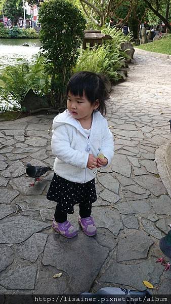 DSC_0234.JPG
