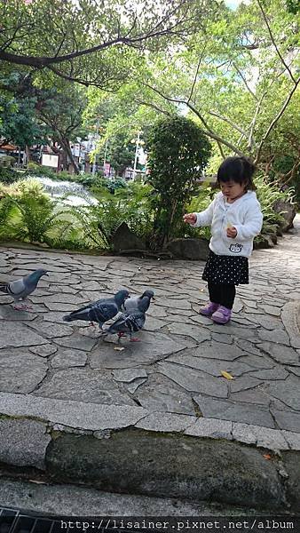 DSC_0238.JPG