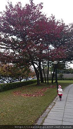 DSC_2797.JPG