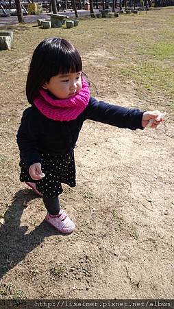 DSC_3700.JPG
