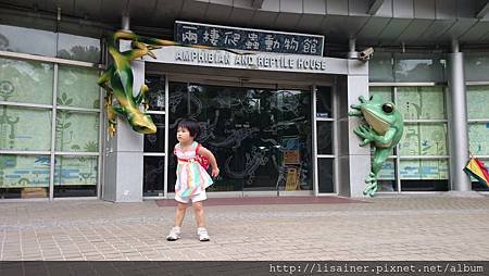 DSC_7199.JPG