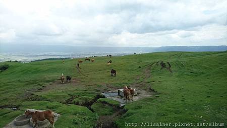 DSC_5572.JPG