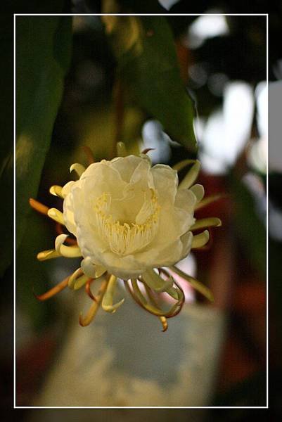4x6IMG_9877