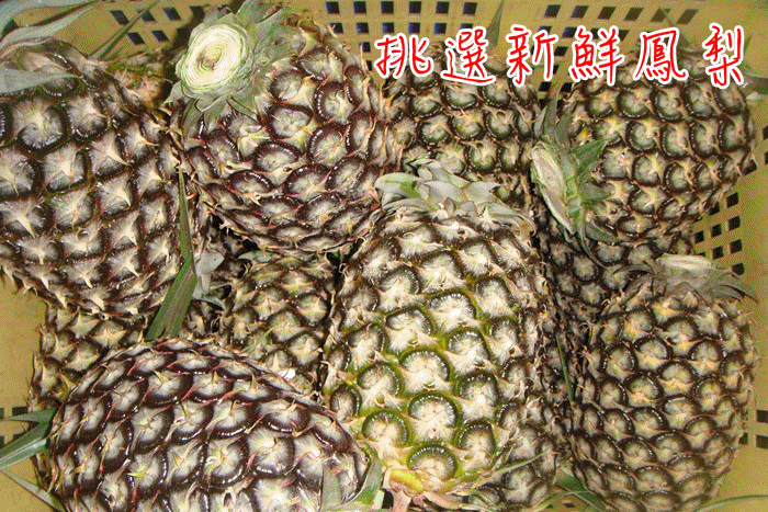 鳳梨蜜釀製程.gif