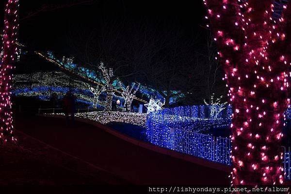 DSC02121