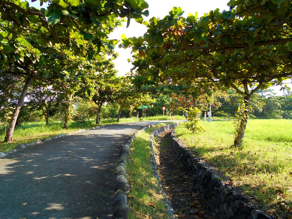 DSCN1077.JPG