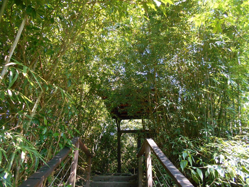 DSCN2157.JPG