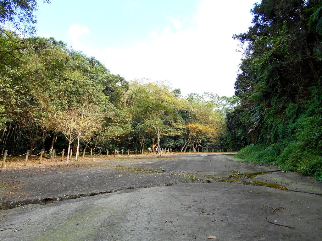 里美避難步道+巨石板步道20201205