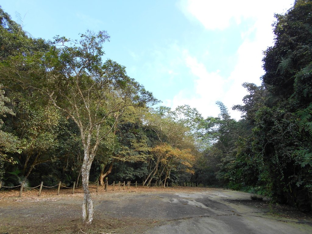 里美避難步道+巨石板步道20201205