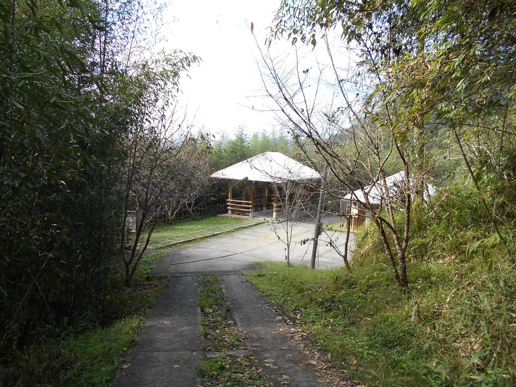 里美避難步道+巨石板步道20201205