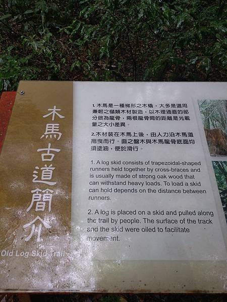 IMAG1294.jpg