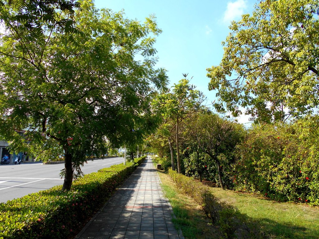 DSCN9484.JPG