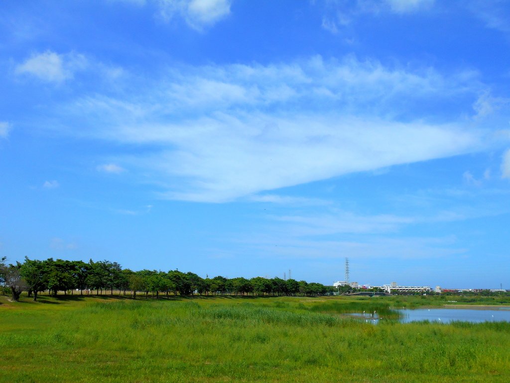 DSCN9583.JPG