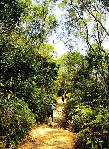 白賓山後登山口步道