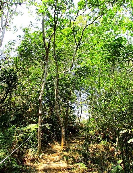 白賓山後登山口步道