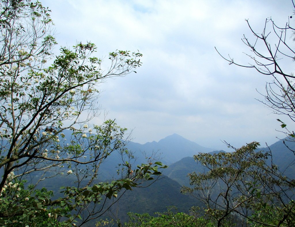 白賓山後登山口步道