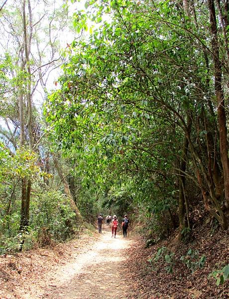 白賓山後登山口步道