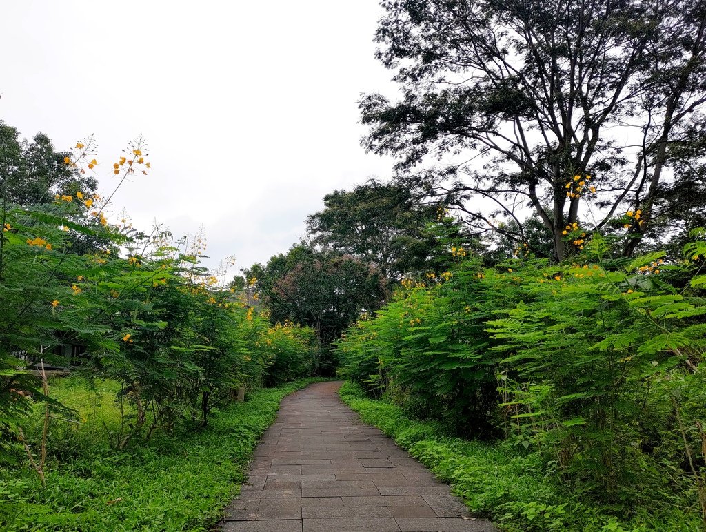 禮納里環區步道