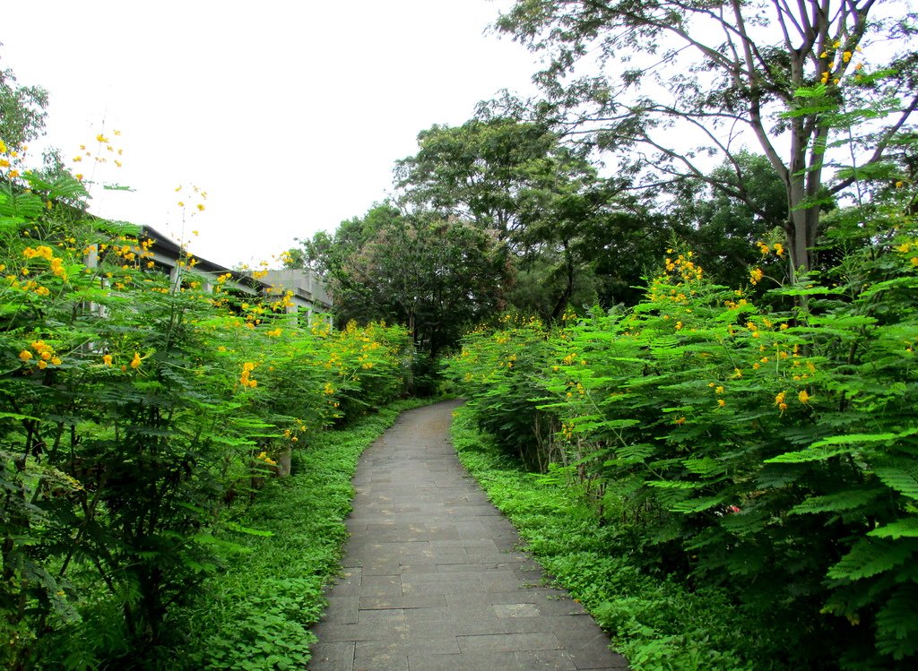 禮納里環區步道