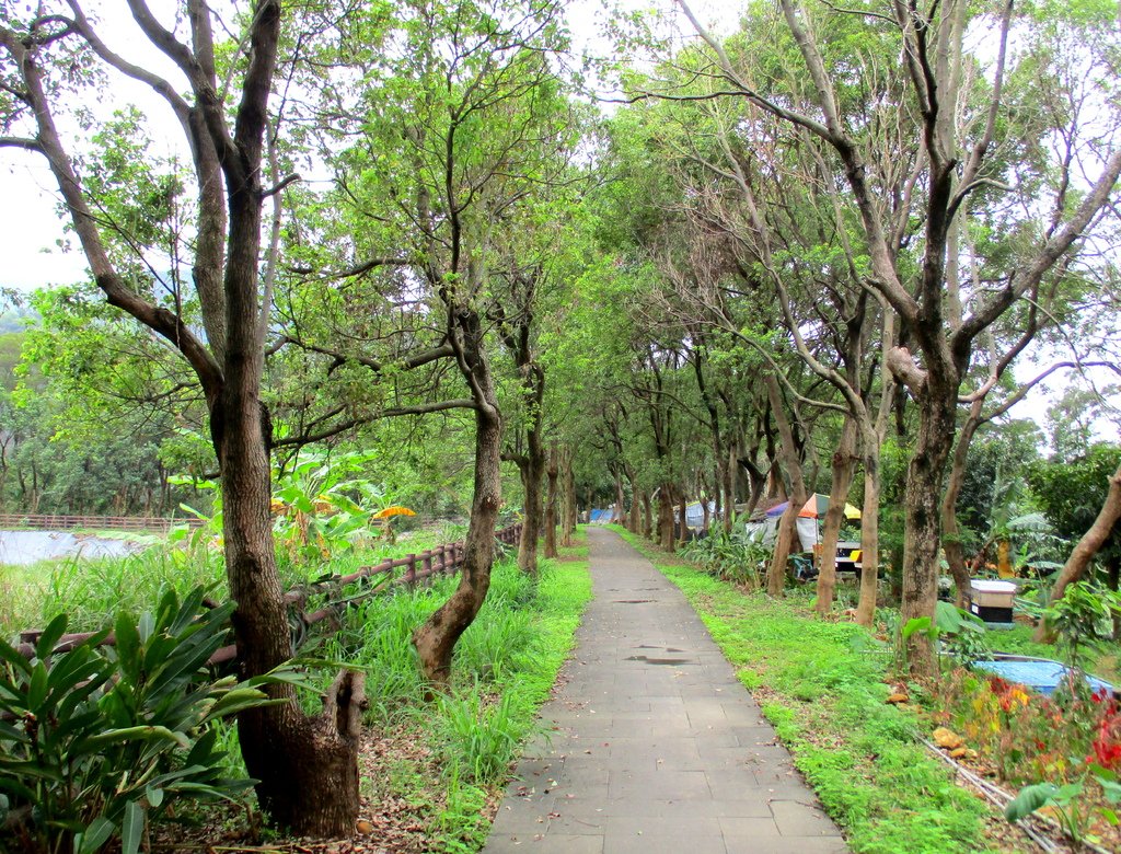 禮納里環區步道