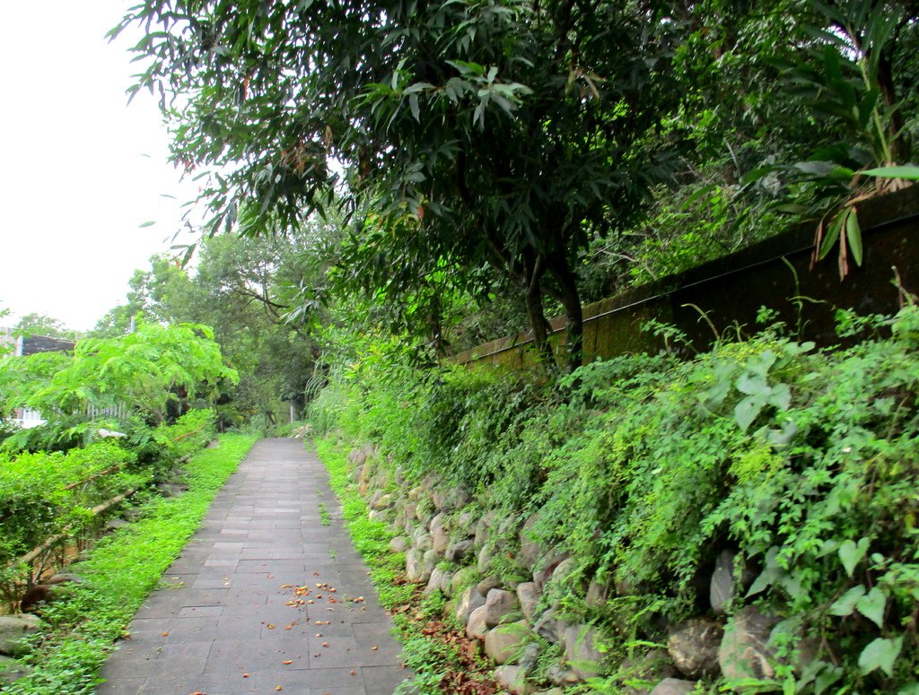 禮納里環區步道