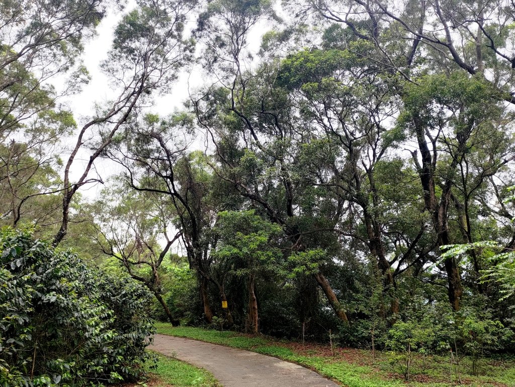 禮納里環區步道