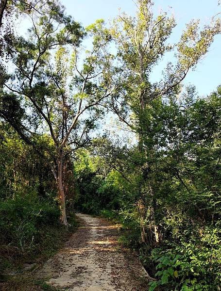 關廟森林公園 20231105