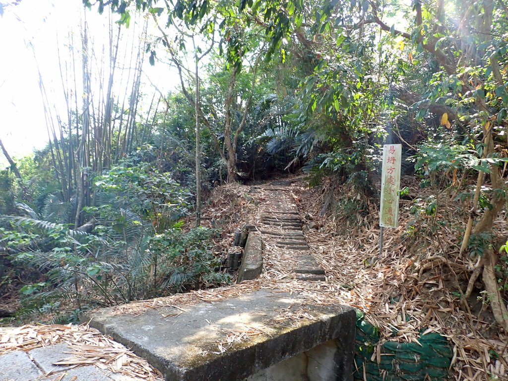 南化烏山步道-風空子山202404