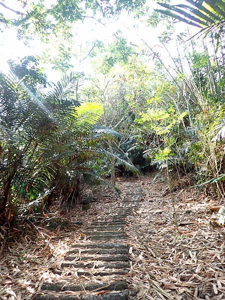 南化烏山步道-風空子山202404