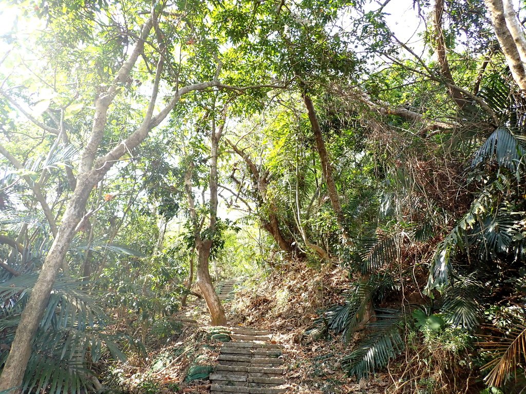 南化烏山步道-風空子山202404